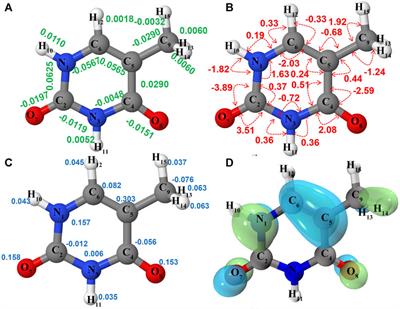 Identification of DNA Bases and Their Cations in Astrochemical Environments: Computational Spectroscopy of Thymine as a Test Case
